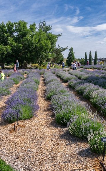 Chatfield Farms Botanic Gardens