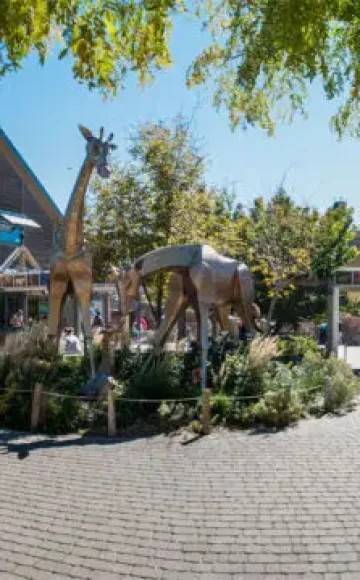 Denver Zoo