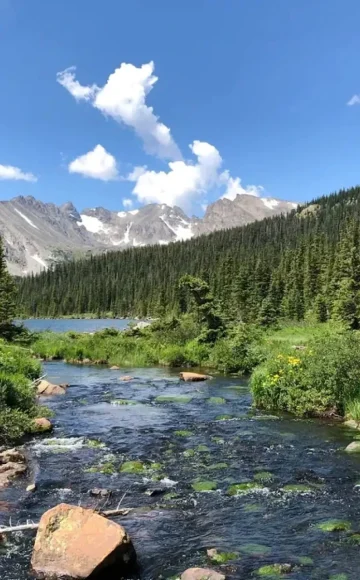 Roosevelt National Forest